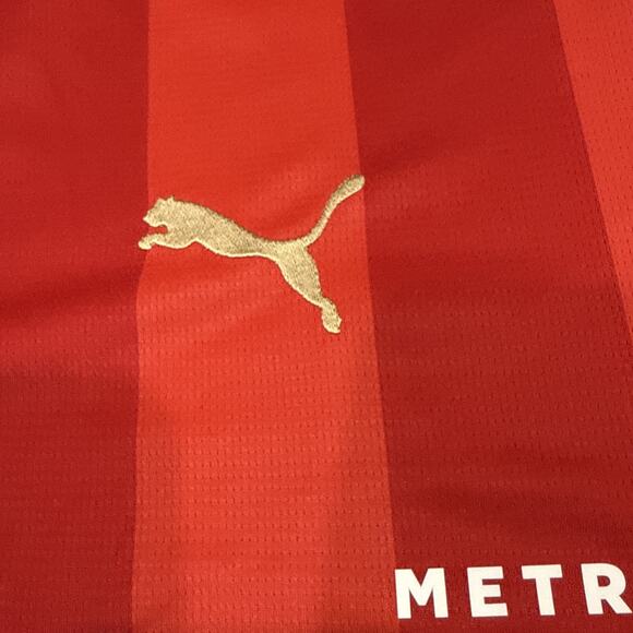 PUMA Psv Einshoven 23/24 Soccer Jersey Mens Size XL 77057801 - Picture 5 of 12